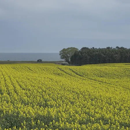 Beautiful In With 3 Bedrooms بيت للعطل *